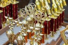 gcca-carshow-2024-67